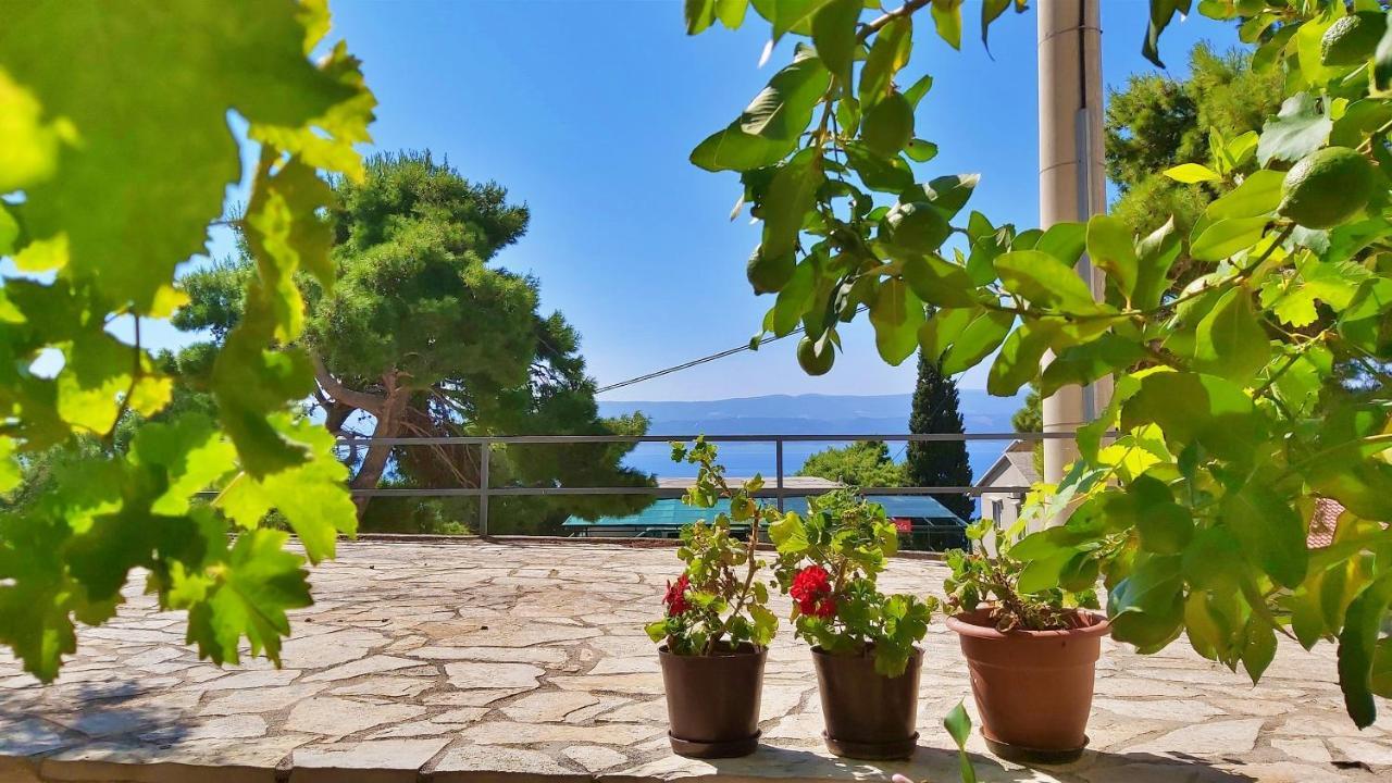 Apartments Gajo Omiš Εξωτερικό φωτογραφία