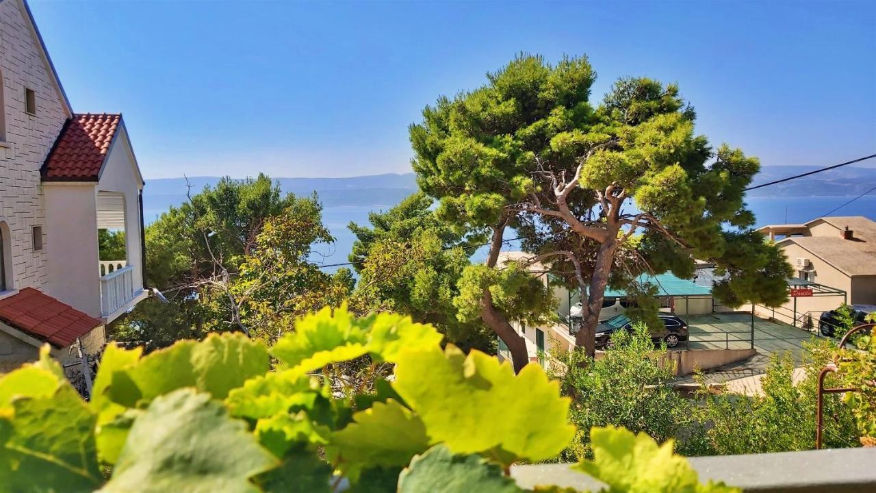 Apartments Gajo Omiš Εξωτερικό φωτογραφία