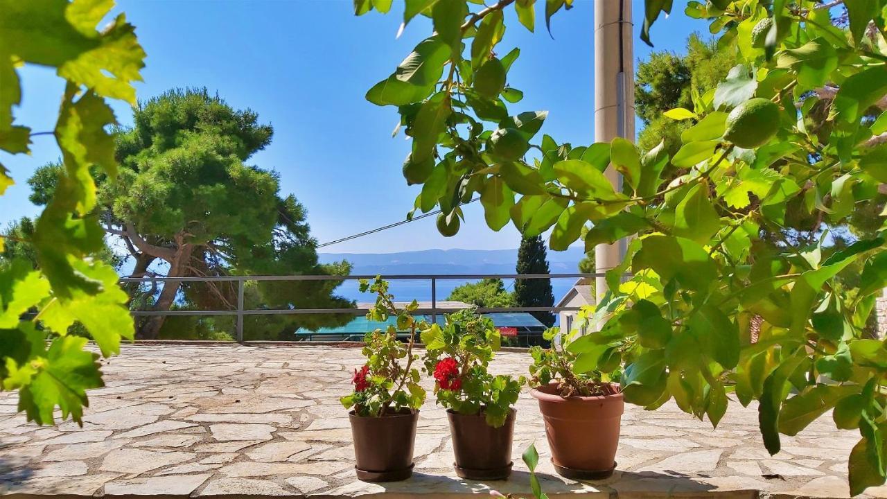 Apartments Gajo Omiš Δωμάτιο φωτογραφία